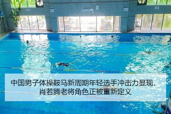 中国男子体操鞍马新周期年轻选手冲击力显现，肖若腾老将角色正被重新定义